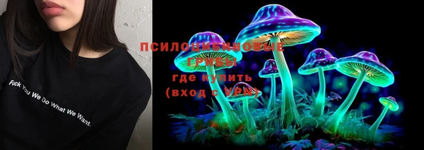 гидропоника Богородск